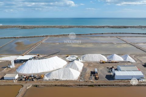 Farm i Tavira, Faro, Tavira - € 2.500.000 | Ref: QuintaRiaFormos - foto 13